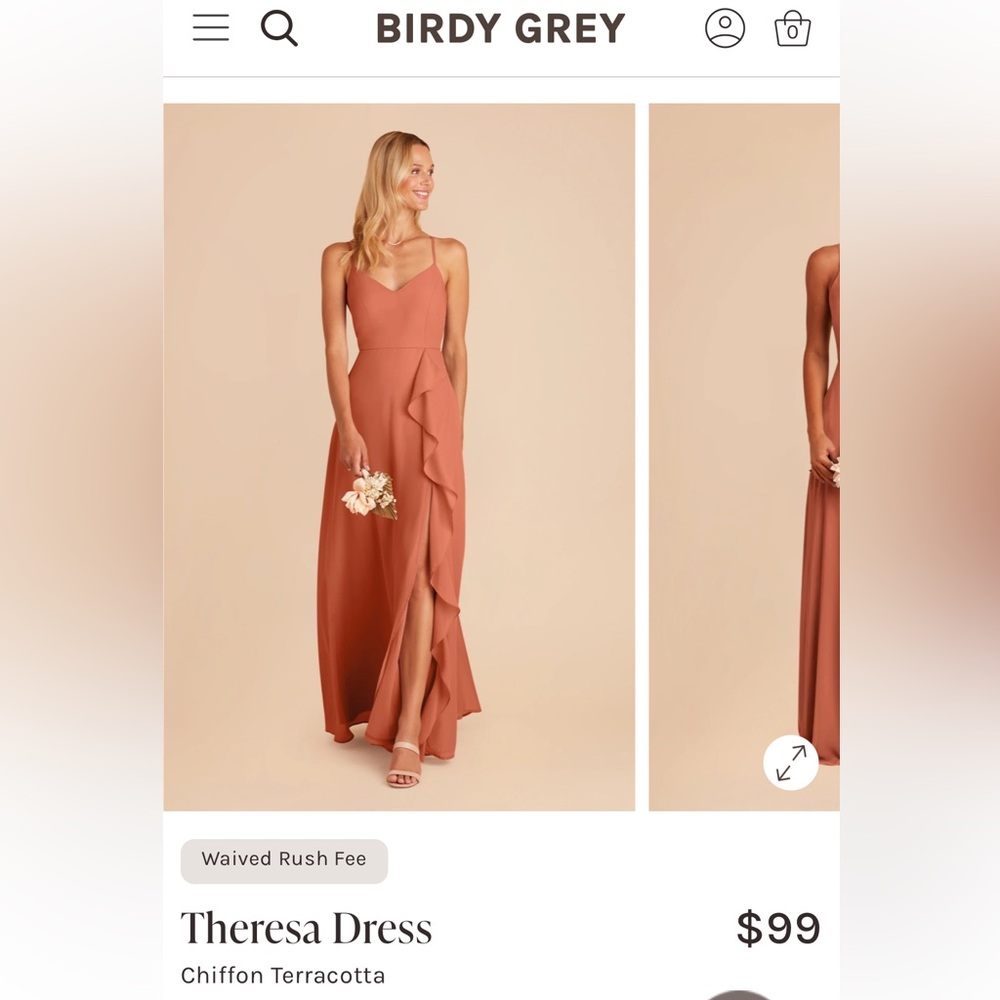 Birdy Grey Chiffon Terracotta Bridesmaid Dress - Picture 4 of 4